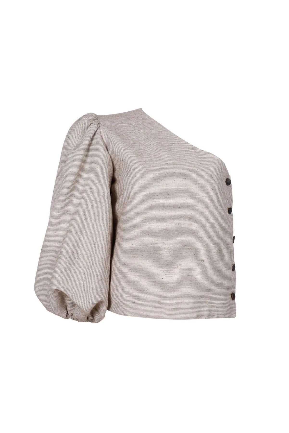 Kabarık Kollu İpek ve Yün karışımlı Üst