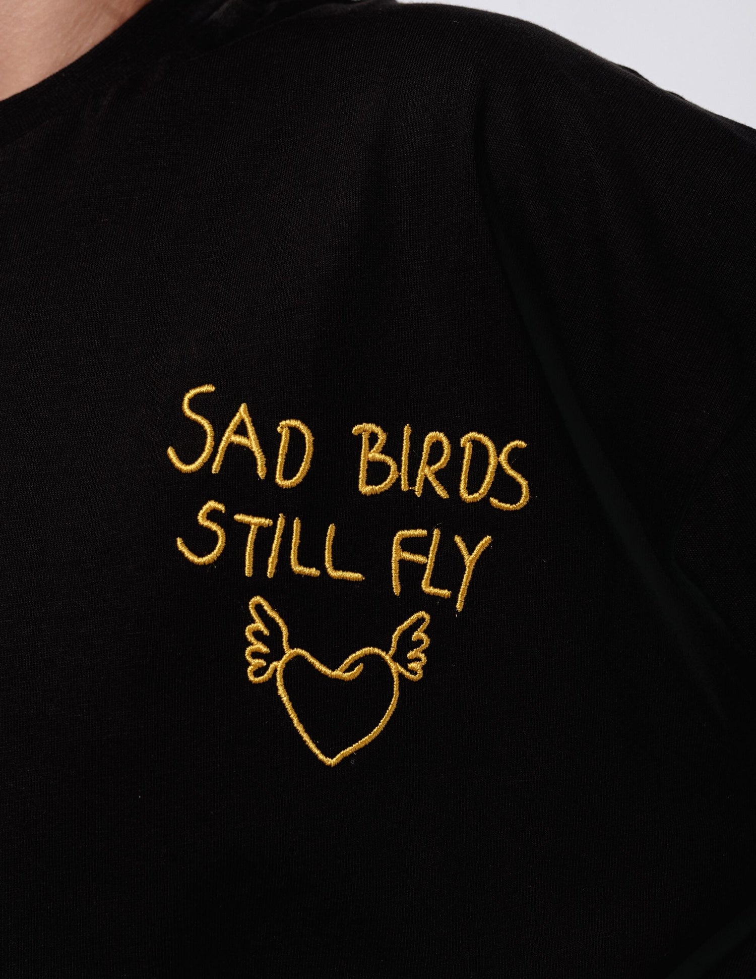 Sad Birds Still Fly Shirt